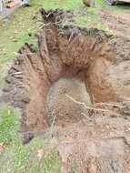 WhatsApp_Image_2025-09-16_at_12.21.31